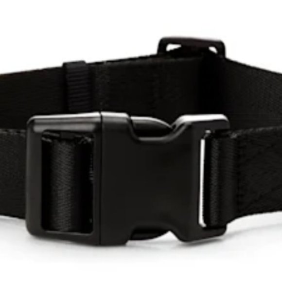 Classic Black  Nylon Dog Collar, Medium - Picture 1 of 1